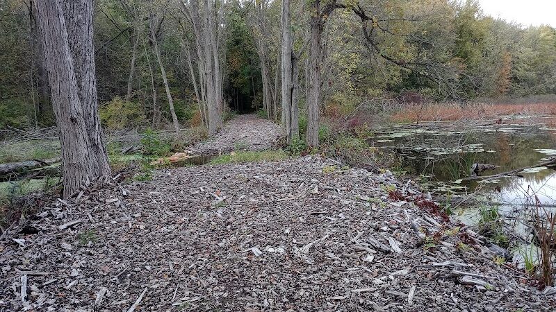 7 Gables Road Natural Area - Dansville,