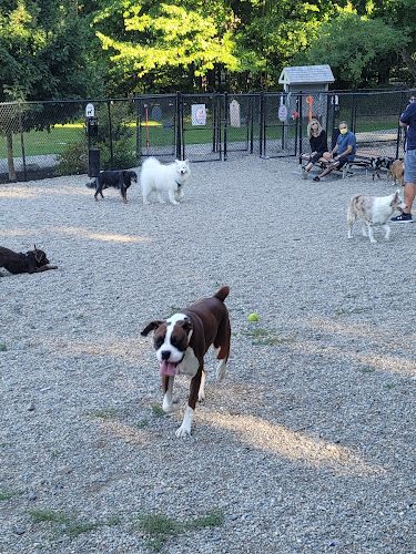Danvers Dog Park