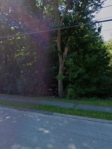 Dog Park parking lot - Danvers, MA