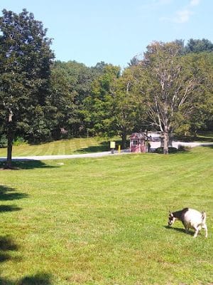 Endicott Park