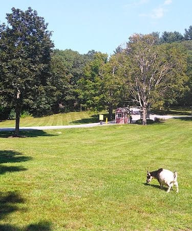 Endicott Park