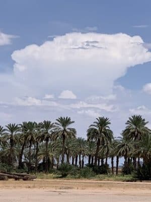 Dateland RV Park - Dateland, AZ