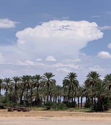 Dateland RV Park - Dateland, AZ