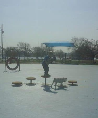 Centennial Dog Park - Davenport, IA