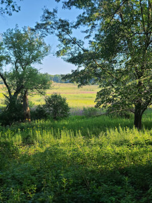 Shiawassee Basin Preserve Park