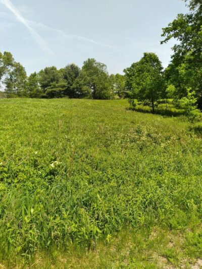 Shiawassee Basin Preserve Park - Davisburg, MI