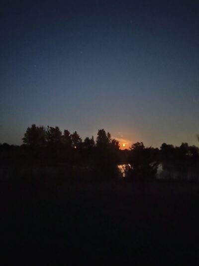 Shiawassee Basin Preserve Park - Davisburg, MI