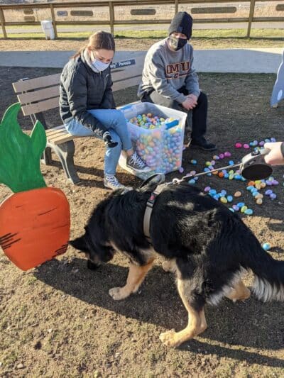 Davison Area Dog Park - Davison, MI