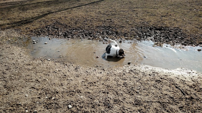 Davison Area Dog Park - Davison, MI