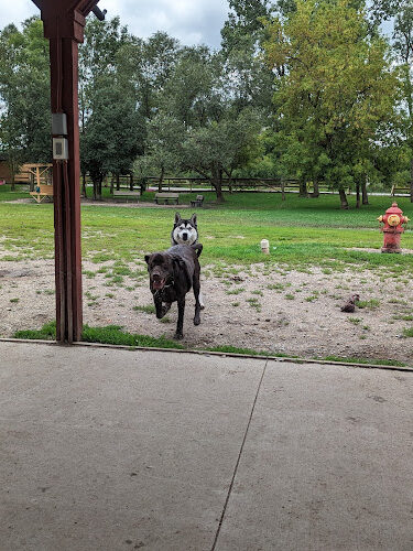 Davison Area Dog Park