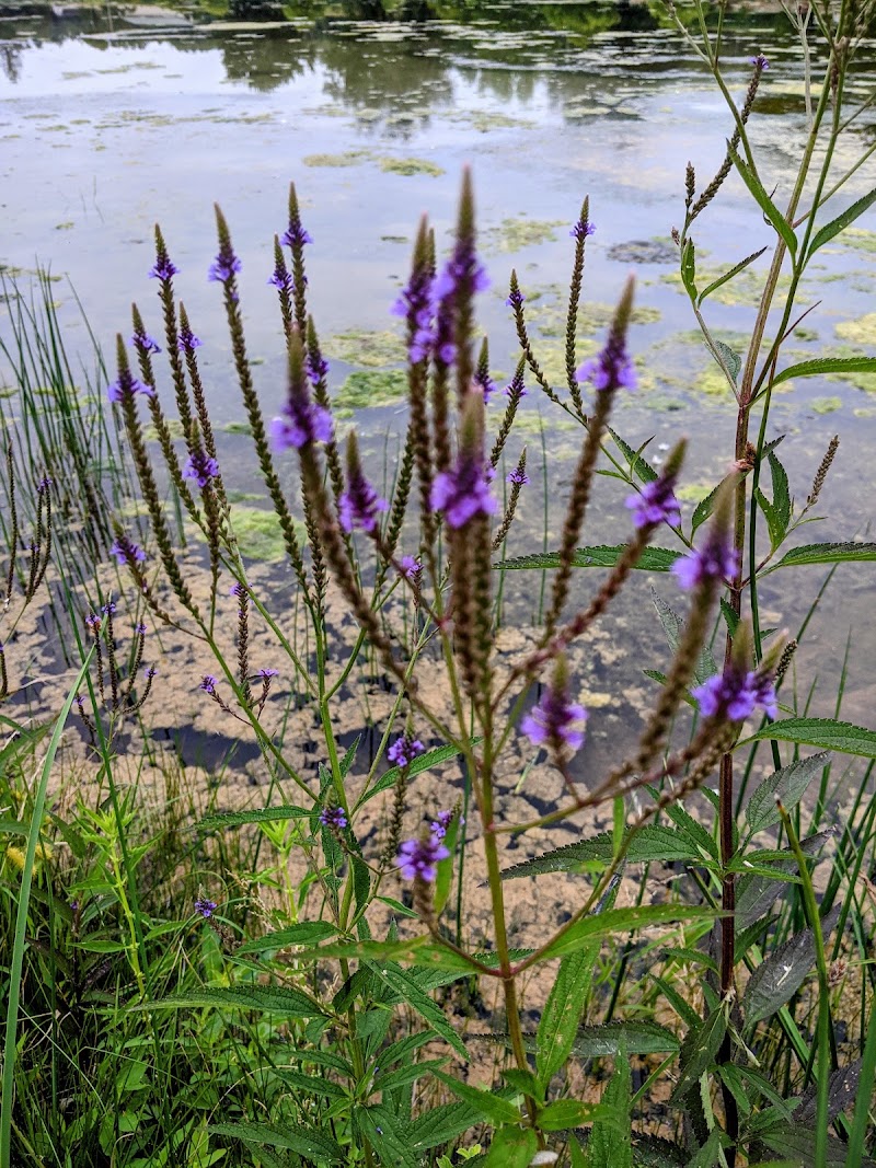 dayton-virginia-cooks-creek-park-10