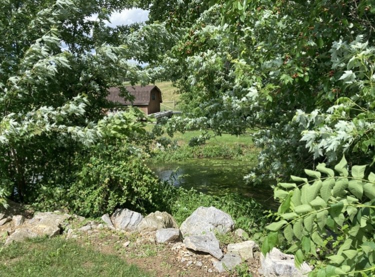 dayton-virginia-cooks-creek-park-8