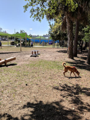 Community Public Dog Park at Halifax Humane Society, Inc.