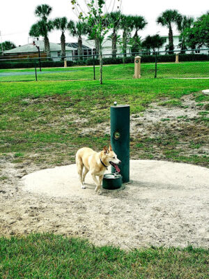 Daytona Beach Lenox Playground