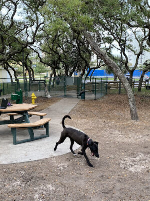 Van Alder Dog Park
