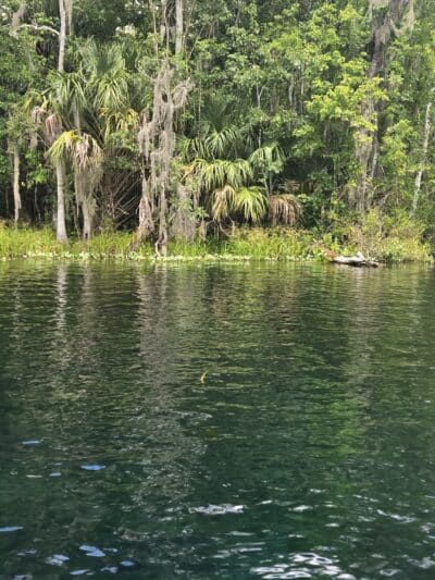 De León Springs State Park - De Leon Springs, FL