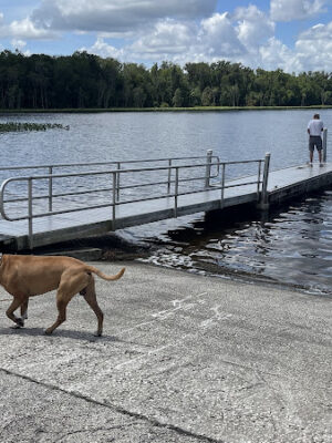 Lake Dias Park
