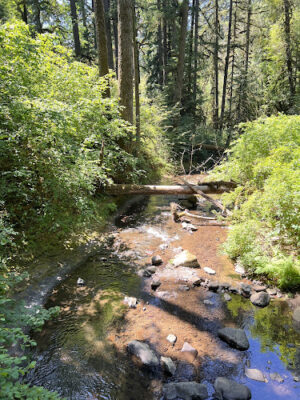 Lake Woodruff Wilderness