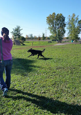 De Pere Dog Park