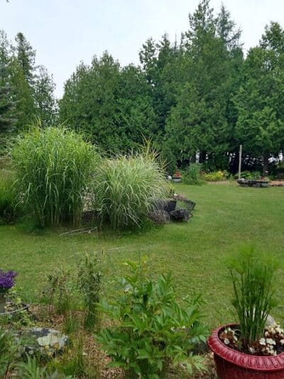 DeTour Village Botanical Gardens - De Tour Village,