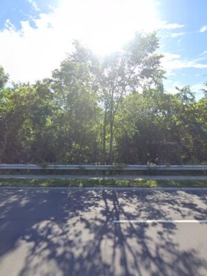 Park Drive Parking Lot
