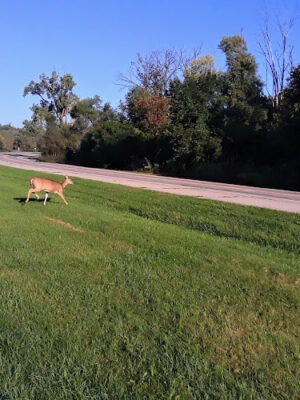 Parkland Recreation Area