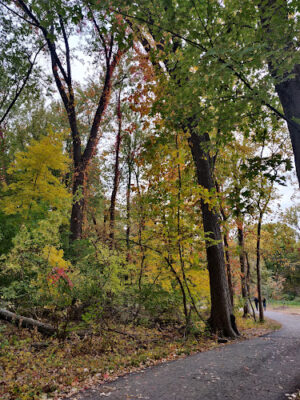Waterfall Loop Trail