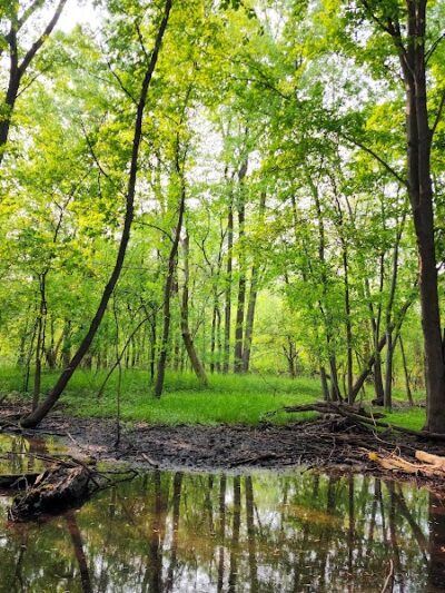 Waterfall Loop Trail - Dearborn,