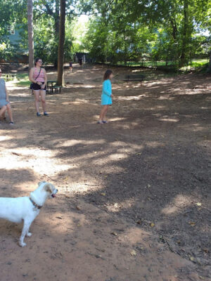 Adair Dog Park