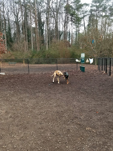 Mason Mill Dog Park