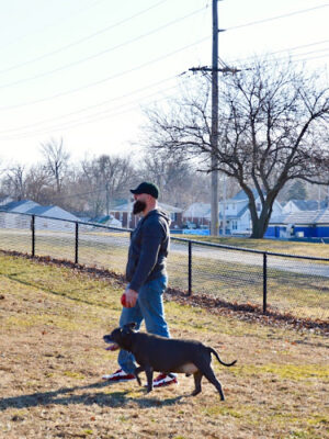 (Members only)Nelson Park Dog Park