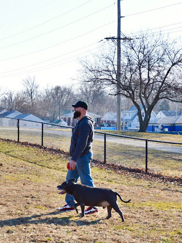 (Members only)Nelson Park Dog Park
