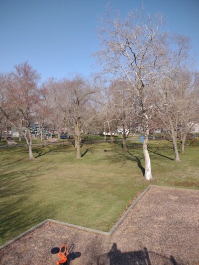 Red Woolfe Park - Decatur,