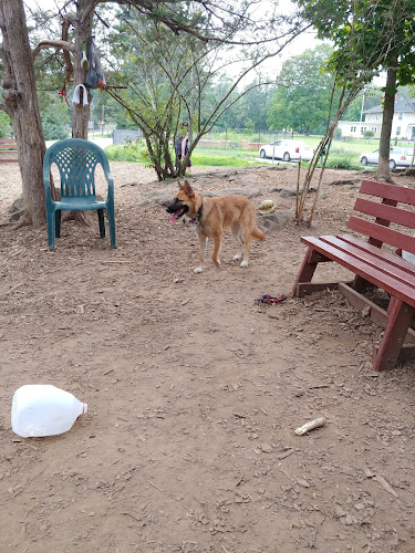 Dedham Dog Park