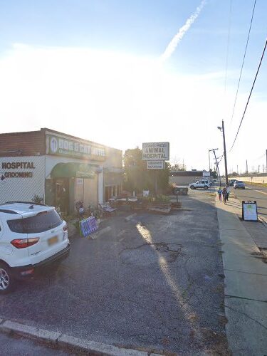 Dog & Cat Motel