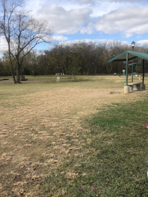 Ella & Friends Dog Park