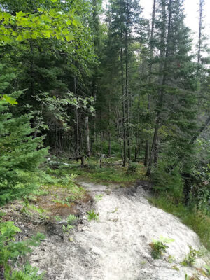 Tyoga Trail