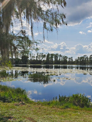 Cypress Park