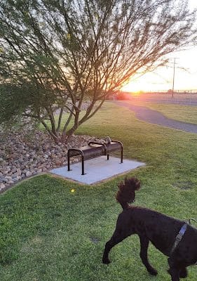 Delano Dog Park - Delano, CA