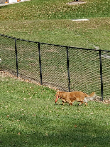 Denison Dog Park