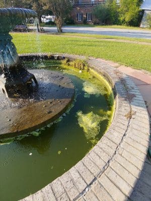 Jim Harrison Square