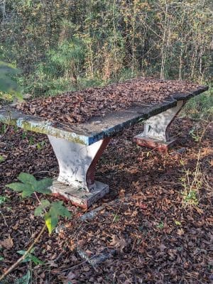 Roadside Park