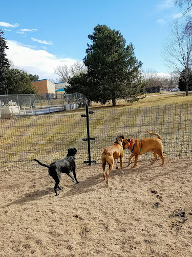 Berkeley Dog Park