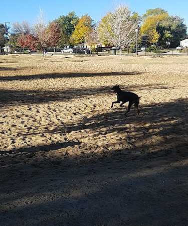 Greenway Off Leash Dog Park
