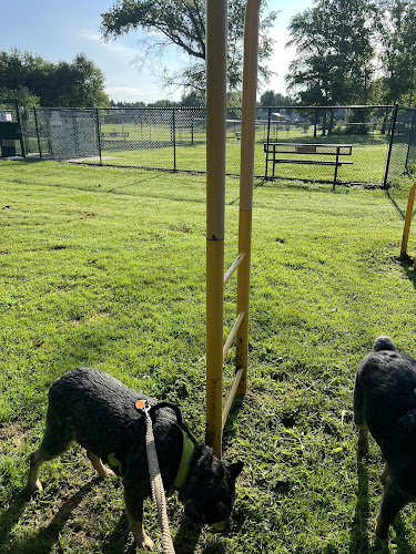 Denver Dog Park