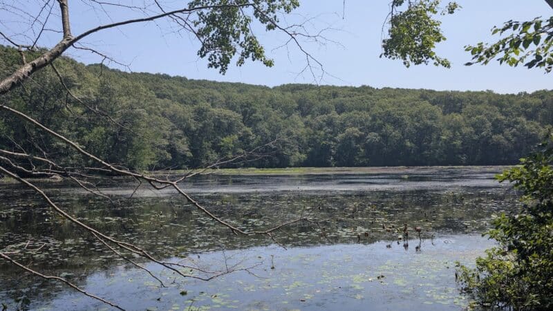 Tourne Park - Denville, NJ