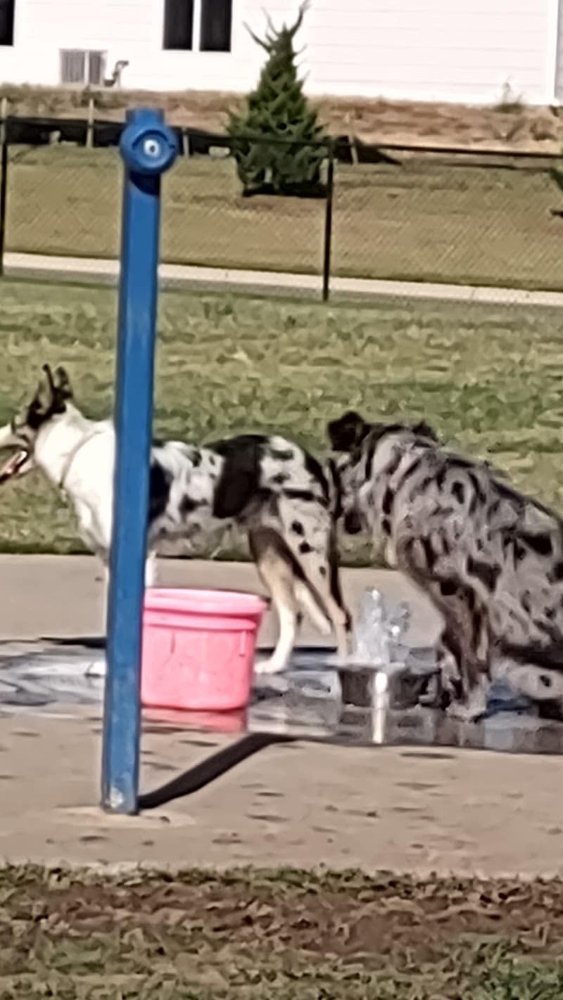 Decarsky Park - Derby, KS