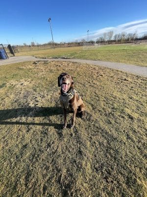 Decarsky Park - Derby, KS