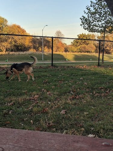 Ewing Dog Park