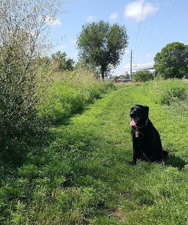 Riverwalk Dog Park